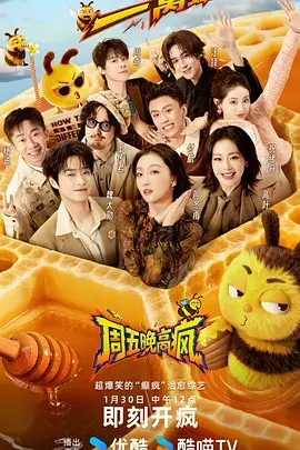 荒野同行户外综艺节目手机免费观看